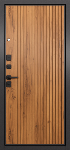 Теплая дверь входная Мастино (Бульдорс) Траст Эко 401/161 (2025), 2 замка, 1,4 мм металл, (медовый дуб галифакс/черный матовый+медовый дуб галифакс) #3